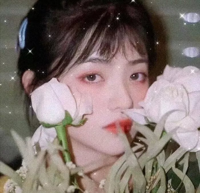 长安秘闻录之聂隐娘